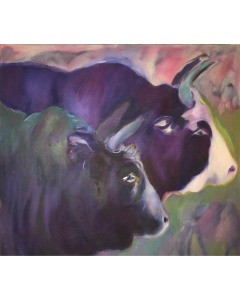 THE BULLS